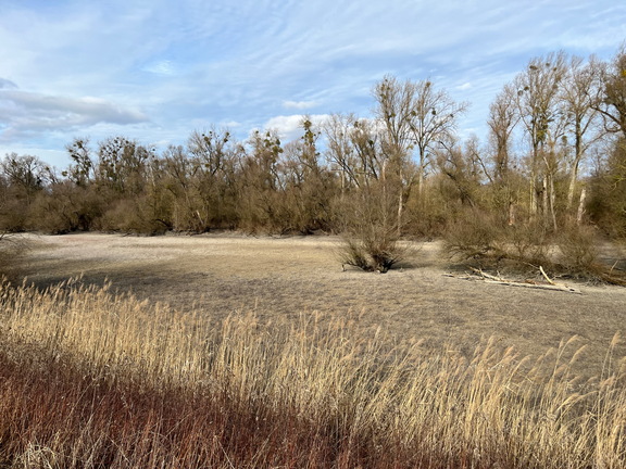 23-02-18 14-23-49 4252